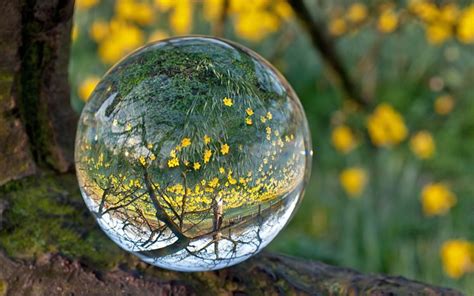 Nature Landscape Beauty Beautiful Forest Tree Water Bubble Wallpapers Hd Desktop And