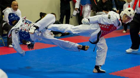 Okinawan Karate World Taekwondo Korean Martial Arts Sport Soccer
