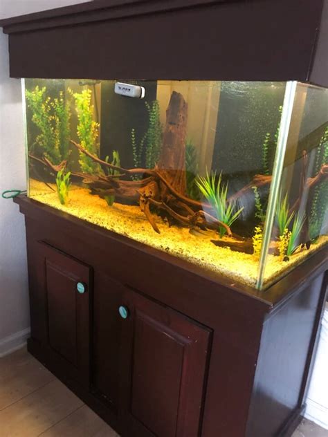 120 Gallon Fish Tank For Sale 25 Ads For Used 120 Gallon Fish Tanks