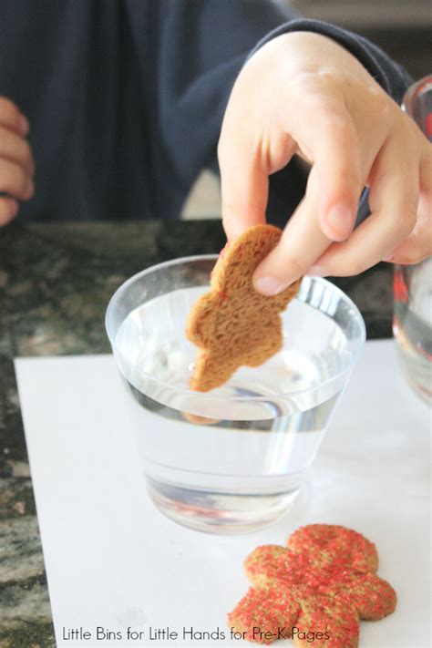 Gingerbread Man Science Experiment For Preschool Pre K Pages