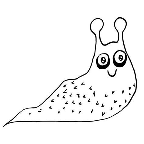 Slugs Drawing Stock Photos Pictures And Royalty Free Images Istock