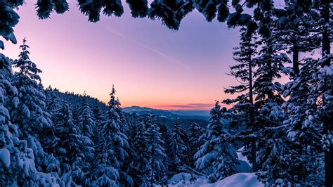 Winter Wonderland 4k Wallpapers Top Free Winter Wonderland 4k