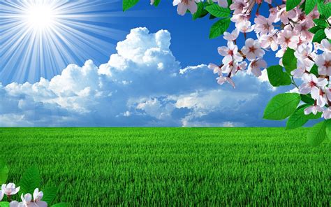 Картинки весна, фотошоп, солнце, поле, цветы, вишни, небо ...