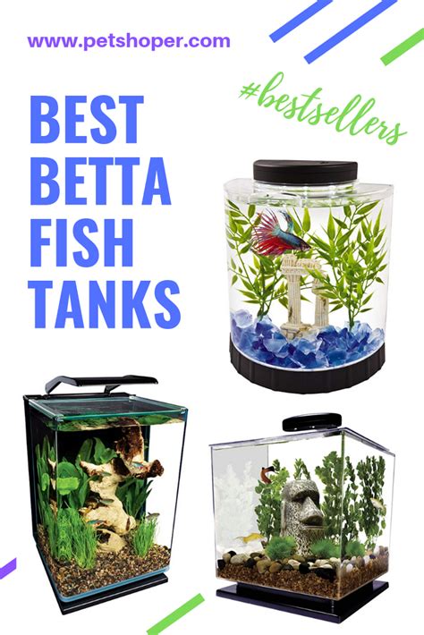 The tanks we reviewed earlier offer many features that would benefit both you and your siamese fighting fish. Bettas require spacious environment to thrive, which is ...