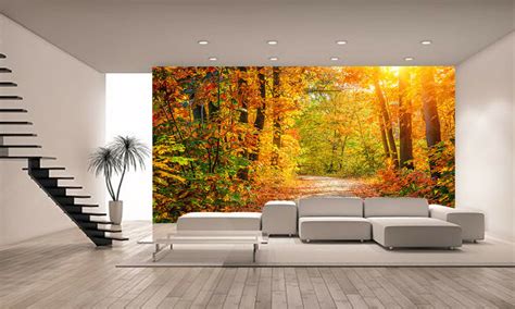 Autumn Forest Wall Mural Photo Wallpaper Giant Wall Decor Paper Poster