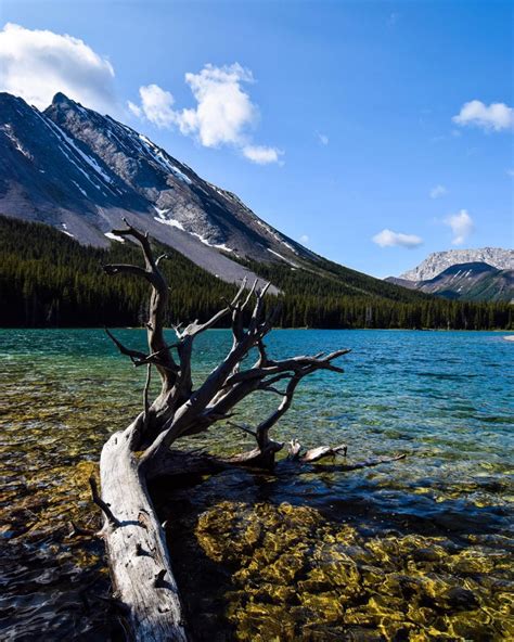 A Stunning Image By Kochgrant Elbow Lake Alberta