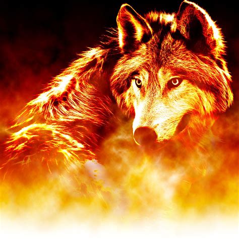 Cool Fire Wolf Wallpapers Top Những Hình Ảnh Đẹp