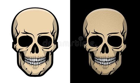 Realistic Colored Human Skull With Shadows Stock Illustration
