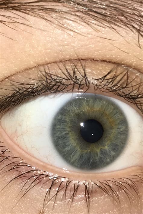 Eye Color Reyes