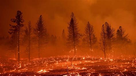 the wildfires out west have burned an area 4 times the size of new york city