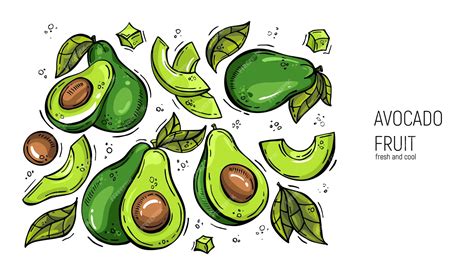 Premium Vector Set Of Hand Drawing Avocado