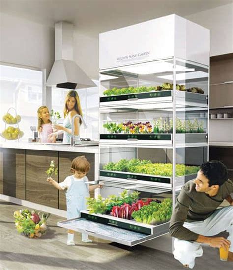 The fresh potted herbs that kitchen gardens grow include basil, oregano, dill, arugula, cilantro, mint, marjoram, parsley, rosemary, pepper, sage. modern-indoor-herb-garden-in-kitchen-cabinet
