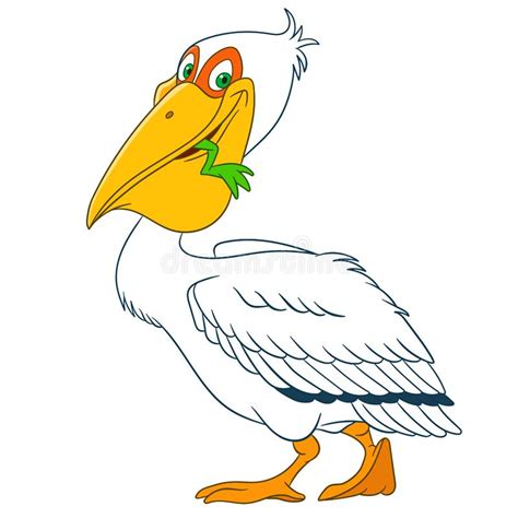 Cartoon Pelican Stock Illustrations 2439 Cartoon Pelican Stock