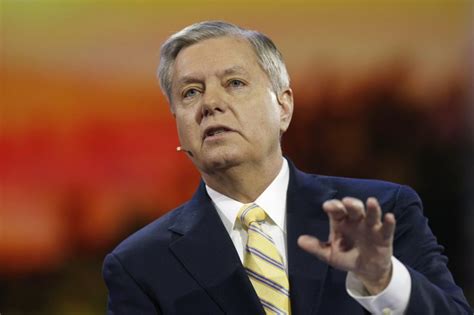 Lindsey Graham 2016 President Poll Senator Shouldnt Run For White House South Carolina Voters
