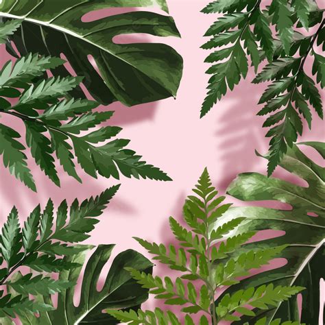 Wedding Pink Green Leaves Tropical Plant Background Cafe Wedding
