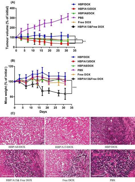 Tumour Growth Inhibition Of S C Human Breast Mda Mb Carcinoma