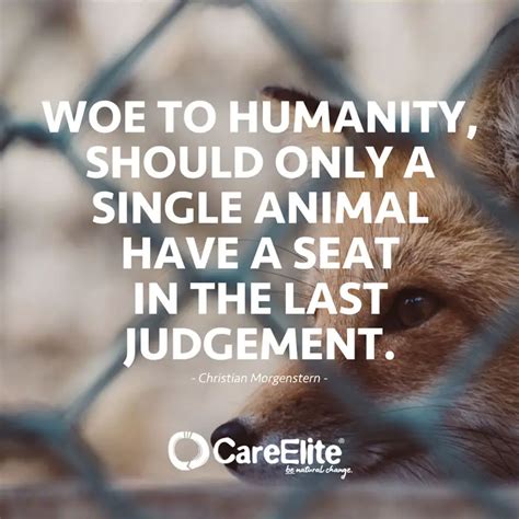 Animal Welfare Quotes 60 Sayings Against Animal Cruelty