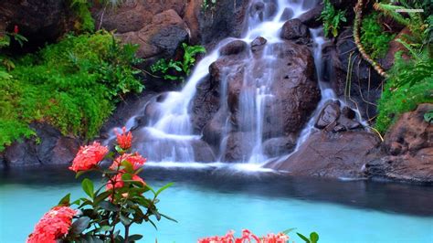 Beautiful Waterfall And Pink Flowers Free Hd For Desktop