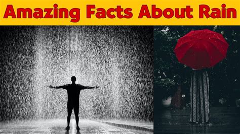 Amazing Facts About Rain Facts Mp Education Youtube