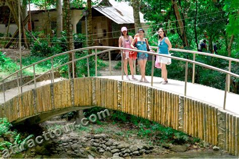 Discover The World Class Tourist Adventure In Cebu Philippines