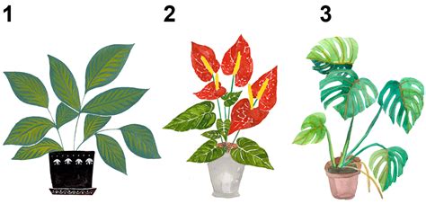 Three Illustrators On Drawing Plants 2 Flow Magazine