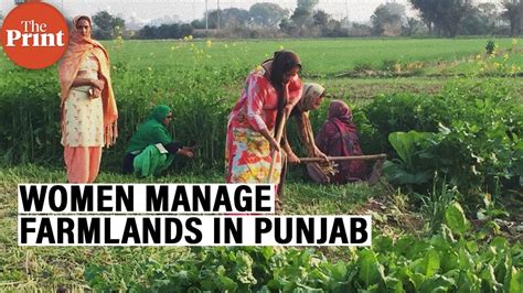 Women And Neighbours In Punjab Fill In To Manage Farm And Cattle Of Farmers Protesting At Delhi