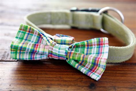 Diy Easy Sew Over The Collar Bow Tie For Dogs — Dalmatian Diy