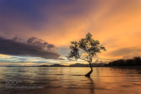New On 500px Sunset On King Birthday Thailand By Phanuwatnandee