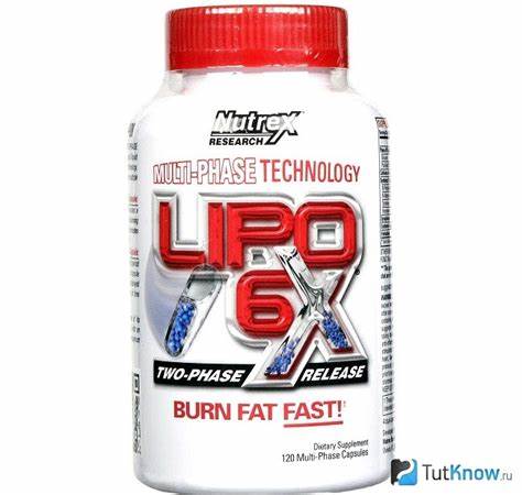 Lipo store отзывы жиросжигатели покупателей Лучшие жиросжигатели в бодибилдинге Лучшие жиросжигатели в бодибилдинге Lipo store отзывы жиросжигатели покупателей