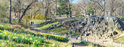 Dene Central Park Conservancy