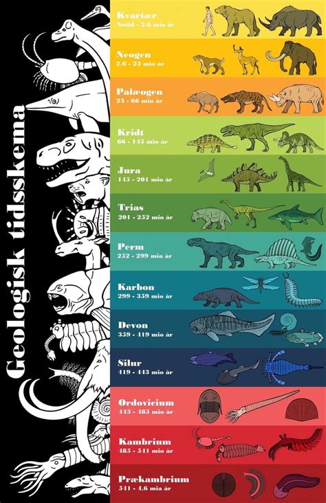 An Illustrated Poster With Different Types Of Dinosaurs In Each Color