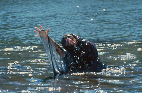 Creepshow 2 On Limited Edition Blu Ray Including Exclusive Arrow