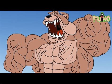 Mutxo Spike Muscle Growth In Tom And Jerry Fan Animation YouTube