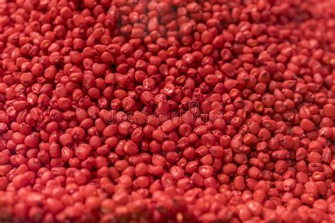 Red Chemically Treated Corn Seed Treated Colorful Corn Seeds Ready For