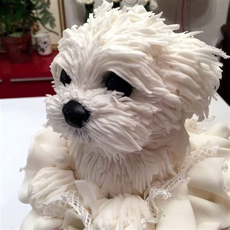75 Incredibly Creative Cakes That Are Almost Too Cool To Eat Dog