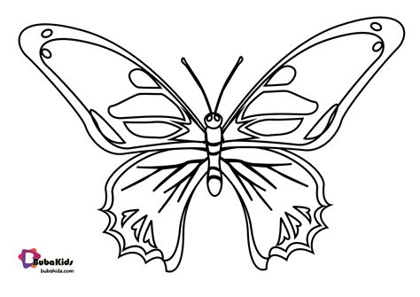Bubakids Realistic Butterfly Coloring Page - BubaKids.com