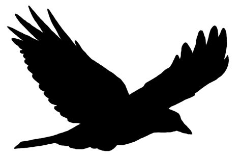 Free Raven In Flight Silhouette Download Free Raven In Flight Silhouette Png Images Free