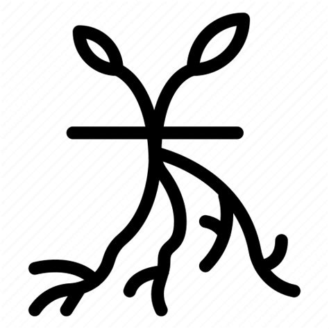 Root Icon Png Png Image Collection