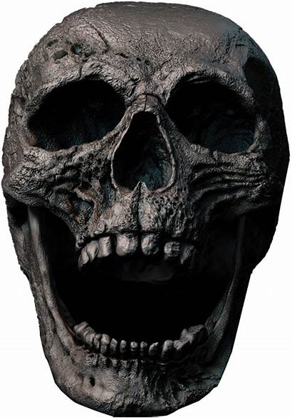 Transparent Scary Skull Skulls Trzcacak Pngio
