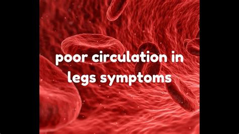 Poor Circulation In Legs Symptoms Youtube