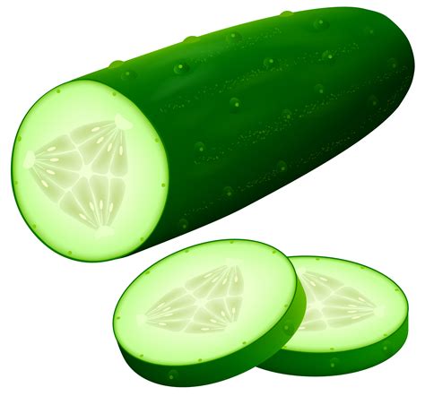 Image Result For Cucumber Clip Art Cucumber Vegetables Vegetable