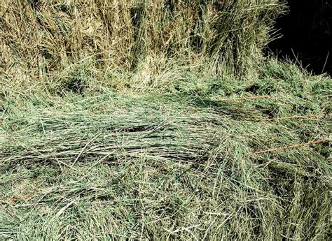 Bermuda Grass Hay For Sale Conway Feed And Supply