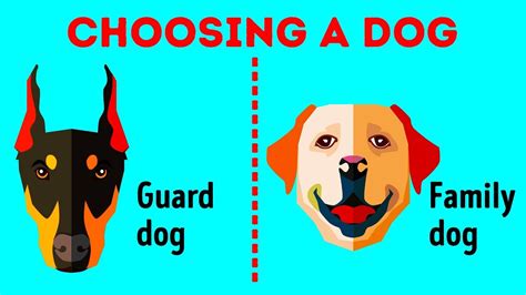 How To Choose The Right Dog Breed Doglopedix