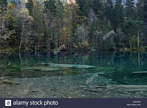 Small Lake In A Forest Oberstdorf Bavaria Germany Stock Photo Alamy