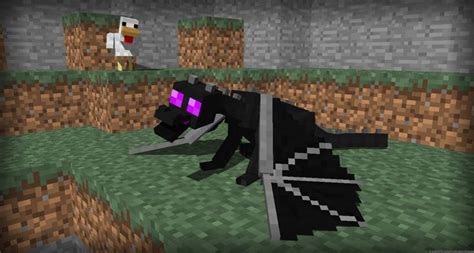 Minecraft Baby Ender Dragon | Enderdragon Hatchling by LockRikard