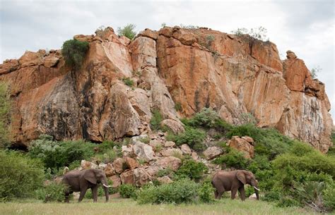 Mapungubwe National Parks Africa South Africa