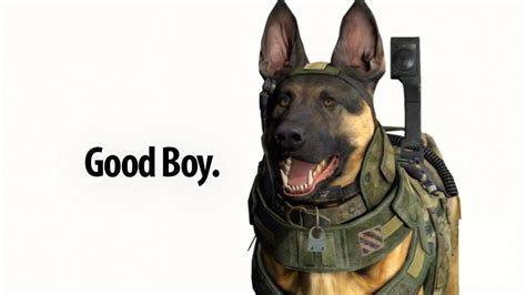 Image 551710 Call Of Duty Dog Know Your Meme