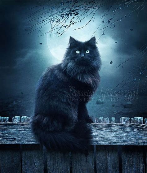 Black Cat Artblack Cat Pictureblack Cat By Enchantedwhispersart Black