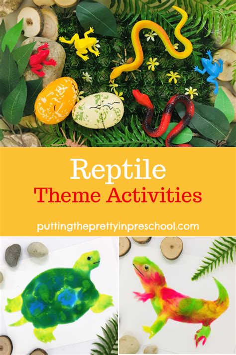 Reptile And Amphibian Activities For Kids