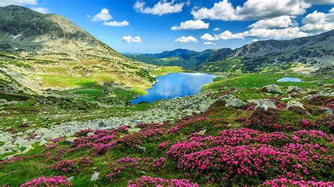 Nature Landscape Clouds Sky Pink Flowers Rocks Mountains Lake